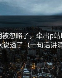 官方说明被忽略了，牵出p站助手，这次说透了（一句话讲清）
