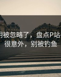 官方说明被忽略了，盘点P站——结论很意外，别被钓鱼