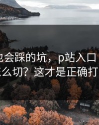 老用户也会踩的坑，p站入口｜语言与地区怎么切？这才是正确打开方式