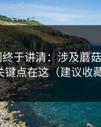 这条规则终于讲清：涉及蘑菇短剧——关键点在这（建议收藏）
