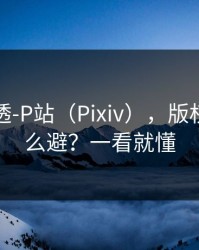 一篇讲透-P站（Pixiv），版权风险怎么避？一看就懂