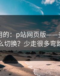 真正好用的：p站网页版——多设备怎么切换？少走很多弯路