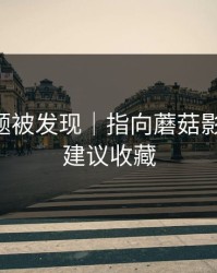 隐藏专题被发现｜指向蘑菇影视片单-建议收藏