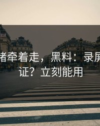 别被情绪牵着走，黑料：录屏如何验证？立刻能用