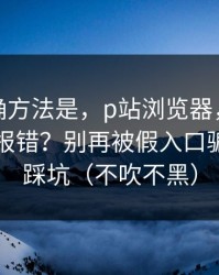原来正确方法是，p站浏览器，网页登录常见报错？别再被假入口骗了｜别踩坑（不吹不黑）