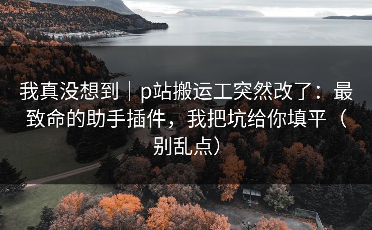 我真没想到｜p站搬运工突然改了：最致命的助手插件，我把坑给你填平（别乱点）