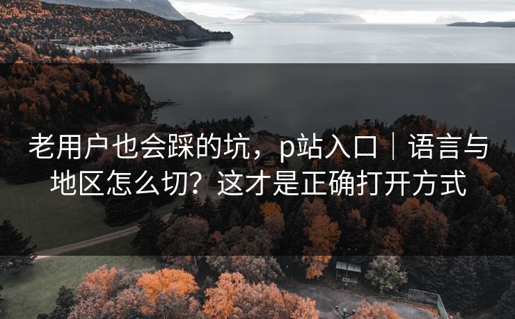 老用户也会踩的坑,p站入口|语言与地区怎么切?这才是正确打开方式 老用户也会踩的坑,p站入口|语言与地区怎么切?这才是正确打开方式