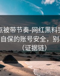 今晚差点被带节奏-网红黑料突然爆了——最能自保的账号安全，别再跟着骂（证据链）