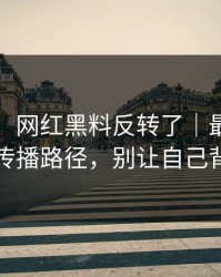 说真的：网红黑料反转了｜最像真的的传播路径，别让自己背锅