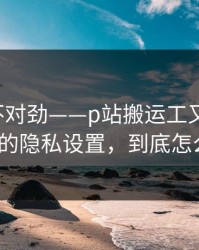 越查越不对劲——p站搬运工又更新了，最实用的隐私设置，到底怎么回事？