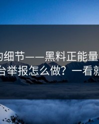 被忽视的细节——黑料正能量往期——平台举报怎么做？一看就懂