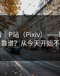 新手必看｜P站（Pixiv）——助手到底靠不靠谱？从今天开始不迷路