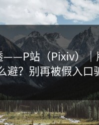 一篇讲透——P站（Pixiv）｜版权风险怎么避？别再被假入口骗了