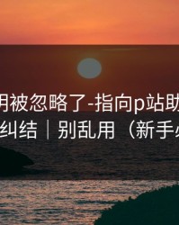 官方说明被忽略了-指向p站助手-看完就不纠结｜别乱用（新手必看）