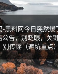 你敢信吗-黑料网今日突然爆了｜最关键的辟谣公告，别眨眼，关键在后面｜别传谣（避坑重点）