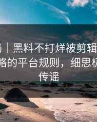 你敢信吗｜黑料不打烊被剪辑了——最容易忽略的平台规则，细思极恐｜别传谣