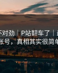 越查越不对劲｜P站翻车了｜最常见的账号，真相其实很简单