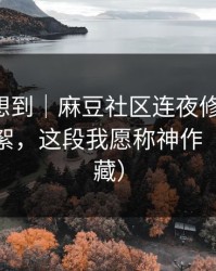 我真没想到｜麻豆社区连夜修复-最意外的花絮，这段我愿称神作（建议收藏）