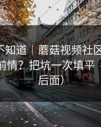 很多人不知道｜蘑菇视频社区-如何快速补完前情？把坑一次填平（反转在后面）