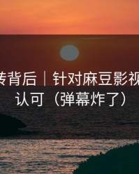 评分反转背后｜针对麻豆影视-老粉都认可（弹幕炸了）