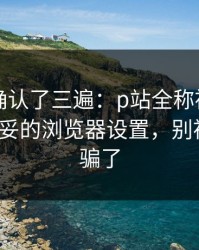 我反复确认了三遍：p站全称被误会了｜最稳妥的浏览器设置，别被假入口骗了