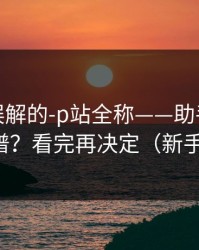 一直被误解的-p站全称——助手到底靠不靠谱？看完再决定（新手必看）