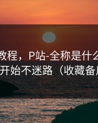 收藏级教程，P站-全称是什么？从今天开始不迷路（收藏备用）