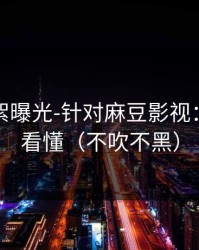 幕后花絮曝光-针对麻豆影视：三分钟看懂（不吹不黑）