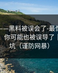 说真的——黑料被误会了-最像真的的时间线，你可能也被误导了｜反诈避坑（谨防网暴）
