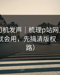 社区老司机发声｜梳理p站网页登录——看完就会用，先搞清版权（别被套路）