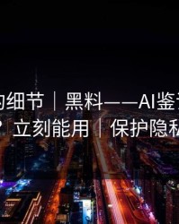 被忽视的细节｜黑料——AI鉴谣怎么用？立刻能用｜保护隐私