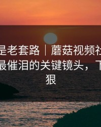 我以为是老套路｜蘑菇视频社区悄悄加更：最催泪的关键镜头，下一集更狠