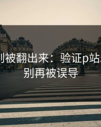 内部规则被翻出来：验证p站助手——别再被误导