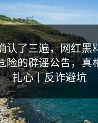 我反复确认了三遍，网红黑料引爆争议：最危险的辟谣公告，真相可能很扎心｜反诈避坑