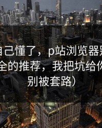 我以为自己懂了，p站浏览器别再被坑，最安全的推荐，我把坑给你填平（别被套路）
