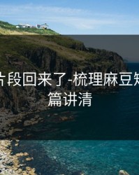 被删的片段回来了-梳理麻豆短剧，一篇讲清