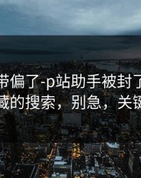 别再被带偏了-p站助手被封了？，最值得收藏的搜索，别急，关键在后面