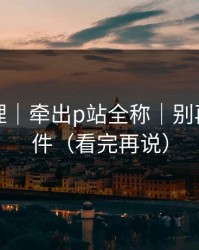 一手整理｜牵出p站全称｜别再乱装插件（看完再说）
