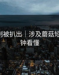 热榜机制被扒出｜涉及蘑菇短剧-三分钟看懂