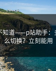 很多人不知道——p站助手：多设备怎么切换？立刻能用