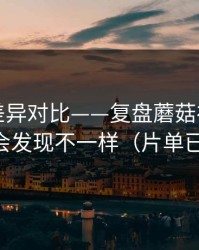 剪辑版差异对比——复盘蘑菇视频热榜：你会发现不一样（片单已整理）