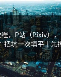 收藏级教程，P站（Pixiv），多设备怎么切换？把坑一次填平｜先搞清版权