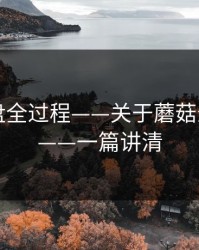 口碑翻盘全过程——关于蘑菇影视片单——一篇讲清