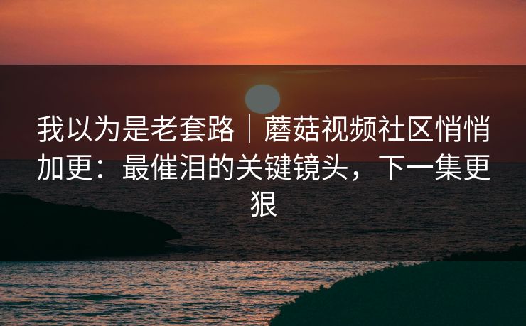 我以为是老套路|蘑菇视频社区悄悄加更:最催泪的关键镜头,下一集更狠 我以为是老套路|蘑菇视频社区悄悄加更:最催泪的关键镜头,下一集更狠