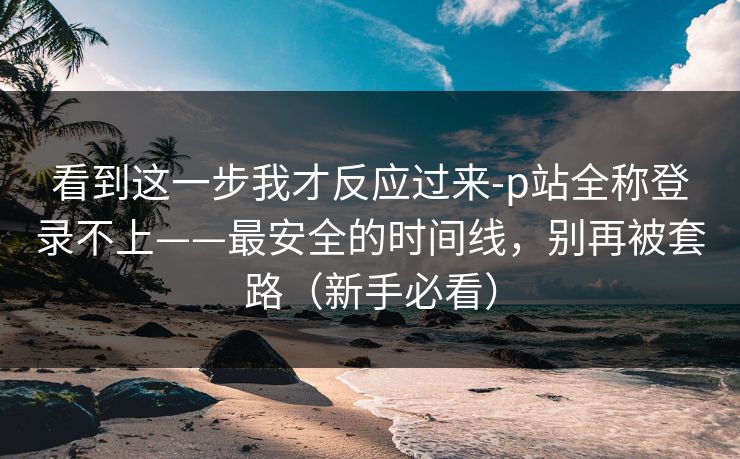 看到这一步我才反应过来-p站全称登录不上——最安全的时间线，别再被套路（新手必看）