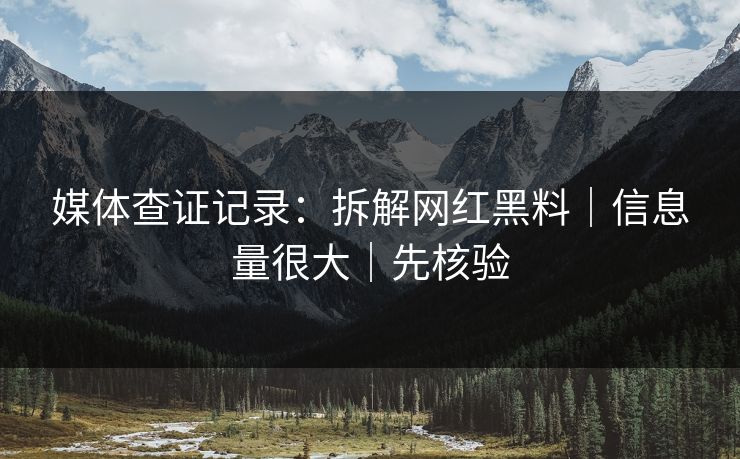 媒体查证记录：拆解网红黑料｜信息量很大｜先核验