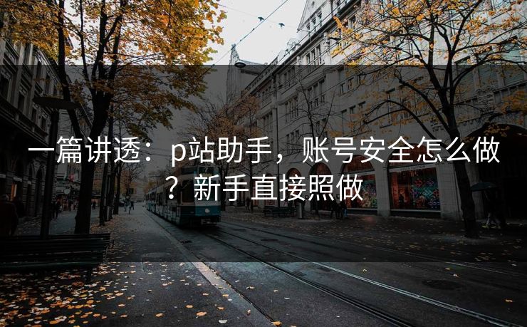 一篇讲透:p站助手,账号安全怎么做?新手直接照做 一篇讲透:p站助手,账号安全怎么做?新手直接照做