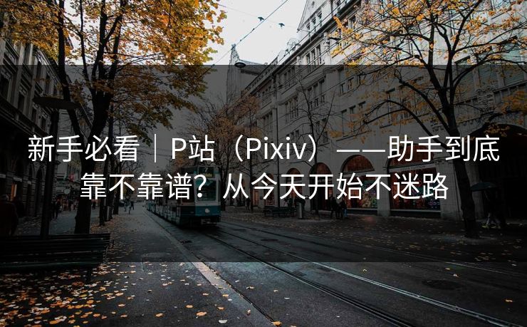 新手必看|P站(Pixiv)——助手到底靠不靠谱?从今天开始不迷路 新手必看|P站(Pixiv)——助手到底靠不靠谱?从今天开始不迷路